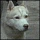 dief01.jpg [25 KB]